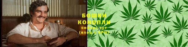 прущая мука Нея