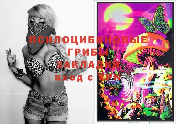 прущая мука Нея