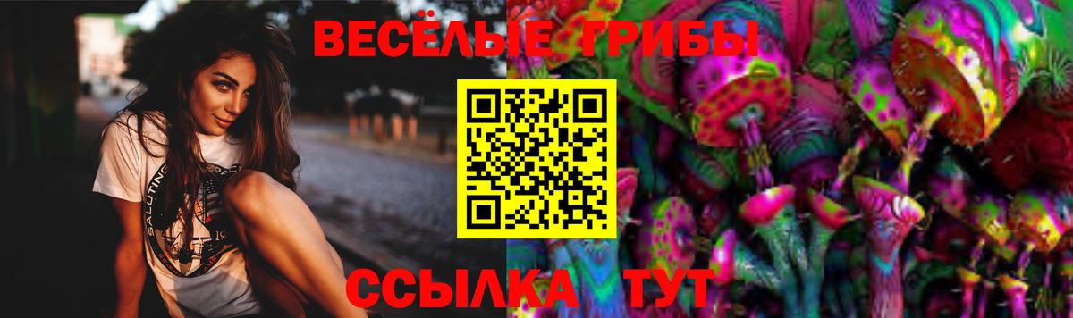 Старая Русса  Псилоцибиновые грибы Psilocybine cubensis  Вход с VPN 