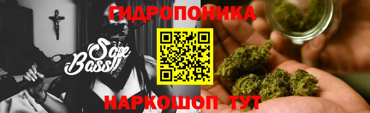 Канабис семена Старая Русса